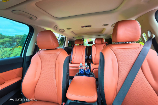 XE CARNIVAL LIMOUSINE