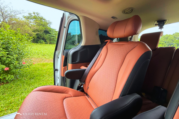 XE CARNIVAL LIMOUSINE