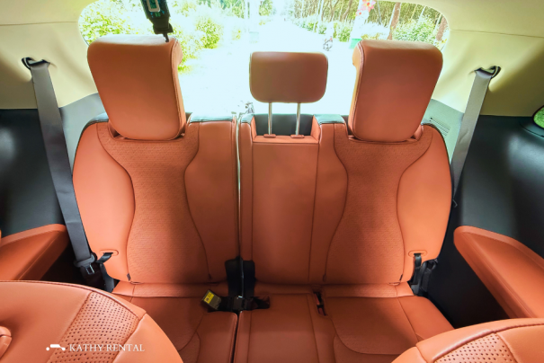 XE CARNIVAL LIMOUSINE